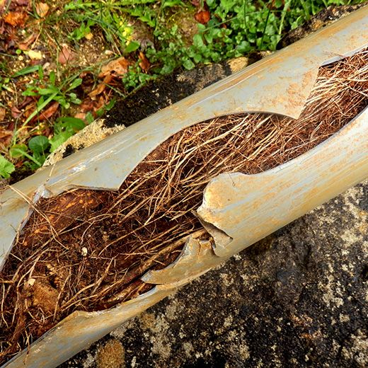 Same Day Drain Sewer & Rooter Pros Across Amherst